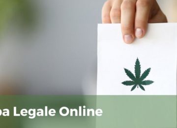 Cannabis legale, le migliori infiorescenze sul mercato